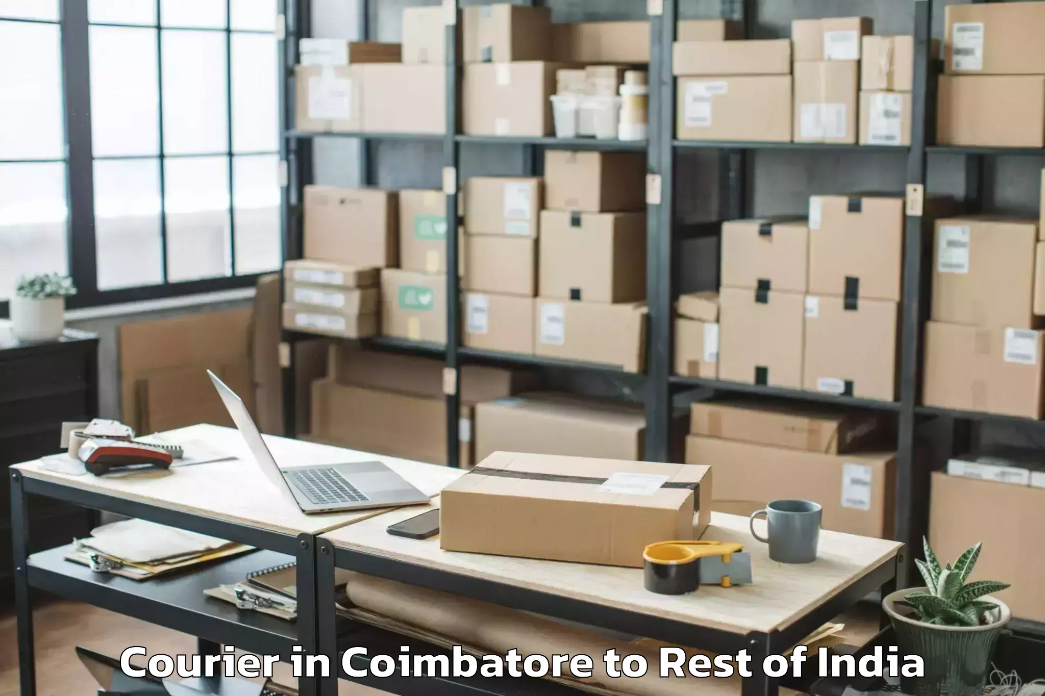 Affordable Coimbatore to Husainganj Courier